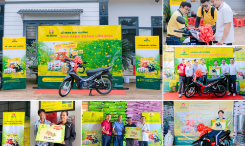 “Mùa vàng thắng lớn 2024”: Còn hơn 200.000 giải thưởng đang tìm chủ nhân may mắn