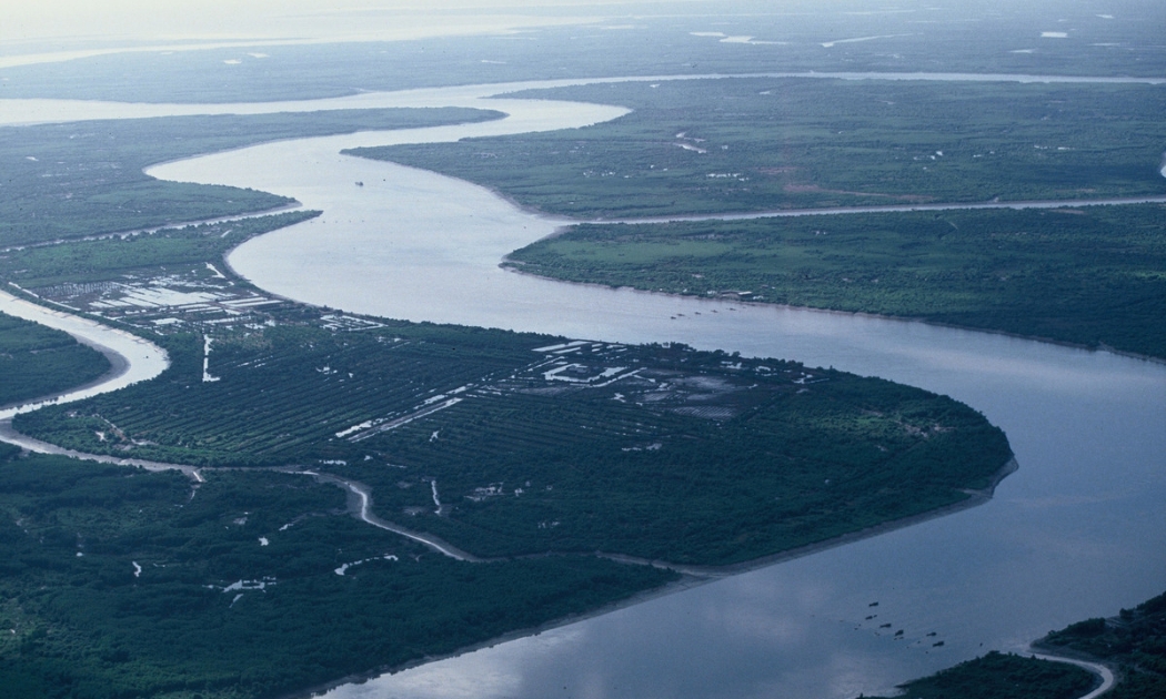 Ảnh minh họa.