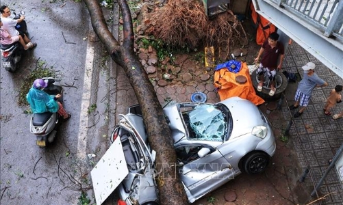 Doanh nghiệp bảo hiểm gấp rút giám định, bồi thường cho khách hàng bị thiệt hại do bão, lũ