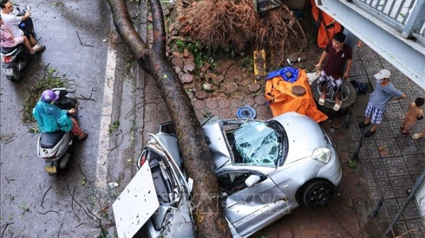 Doanh nghiệp bảo hiểm gấp rút giám định, bồi thường cho khách hàng bị thiệt hại do bão, lũ