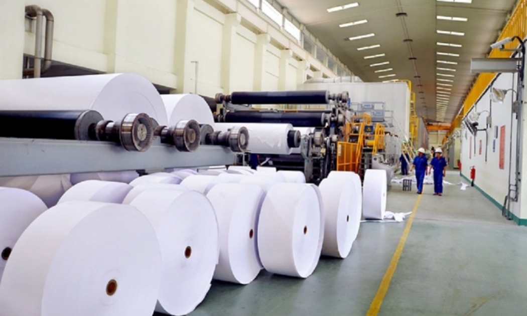 Xử lý dứt điểm tình trạng tranh chấp, lấn chiếm đất đai tại các công ty nông, lâm nghiệp.