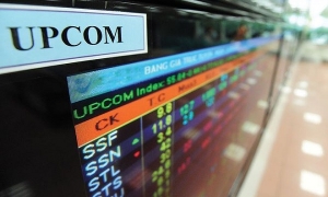 Cổ phiếu HNG và HBC chính thức giao dịch trên UPCoM vào ngày 18/9 tới