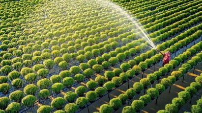 Sustainability is crucial for business growth: VCCI leader