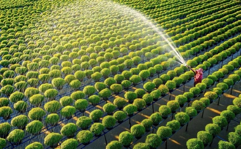 Sustainability is crucial for business growth: VCCI leader