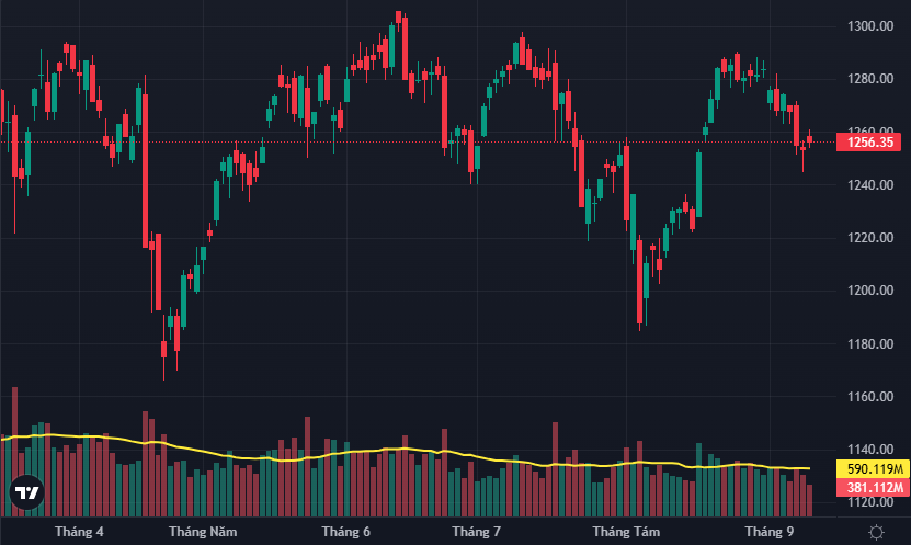 VN-Index đang phục hồi với thanh khoản thấp đột biến.