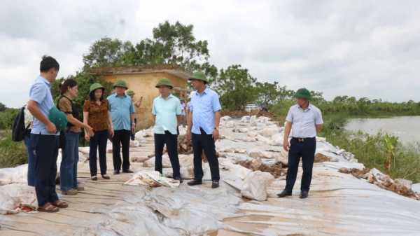 Đã xảy ra 70 sự cố đê điều trên địa bàn 11 tỉnh, thành phố