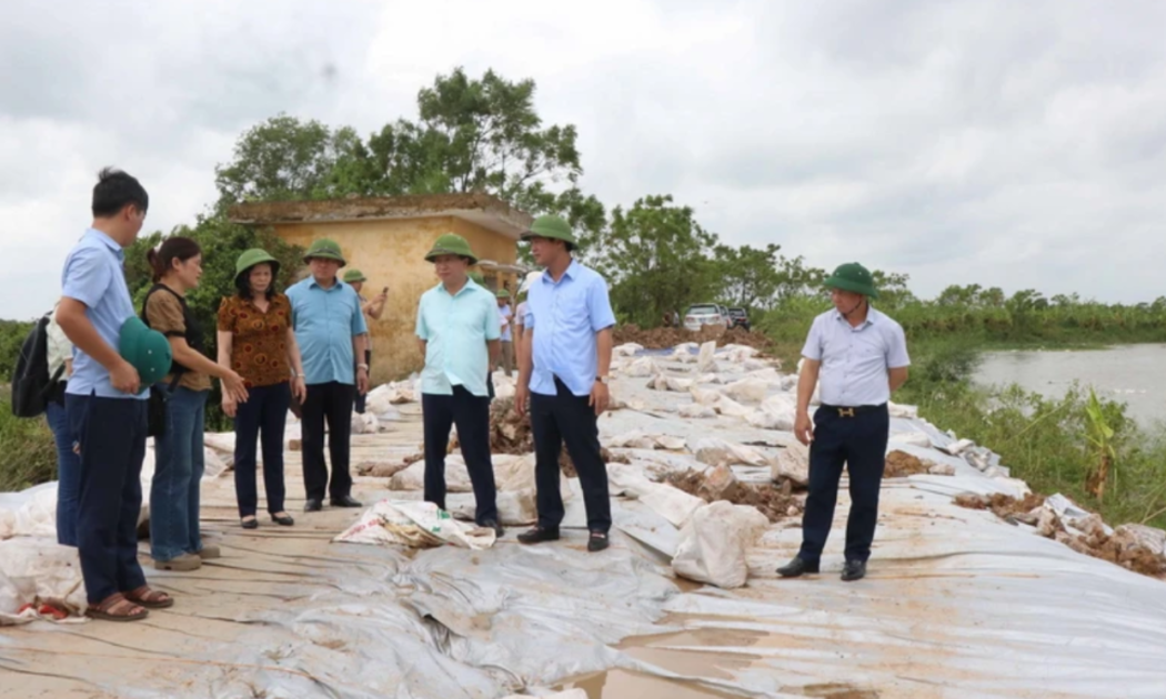 Gia cố, đảm bảo an toàn đê điều.