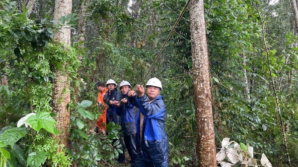 5,3 triệu khách hàng đã được cấp điện trở lại