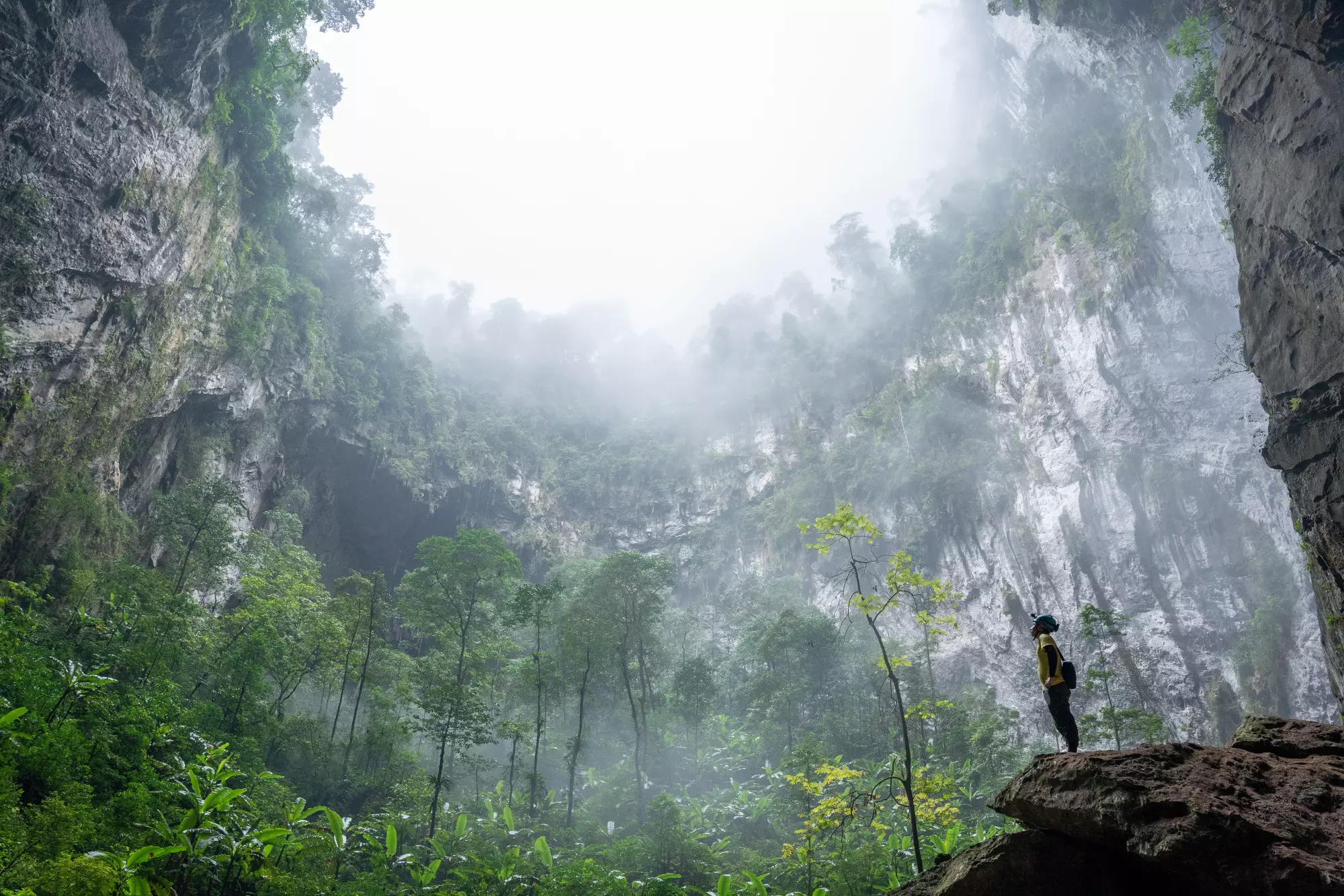 Vẻ đẹp của Việt Nam qua video độc quyền từ đoàn làm phim Planet Earth III - Extremes.