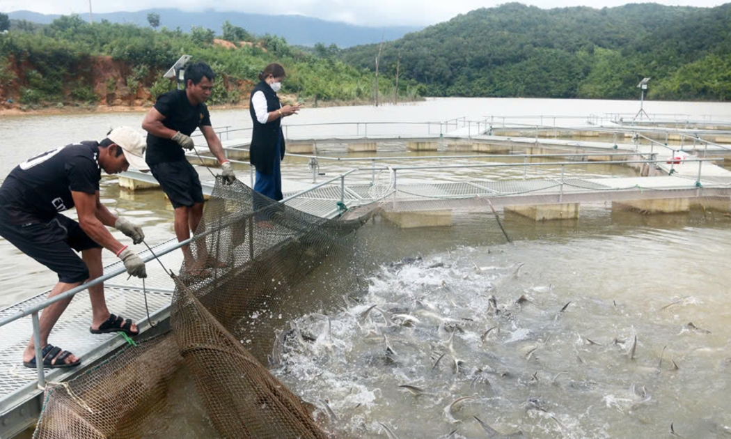 Giảm phát thải và phát triển xanh là yêu cầu cấp bách trong nuôi trồng thủy sản do là ngành chịu tác động mạnh của biến đổi khí hậu nhưng cũng là một “thủ phạm” sản xuất ra lượng lớn khí nhà kính.
