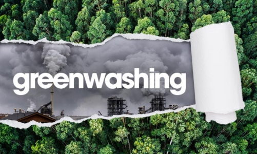 Greenwashing làm chậm quá trình phát triển bền vững
