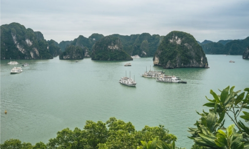 Vịnh Hạ Long bắt đầu đón du khách trở lại