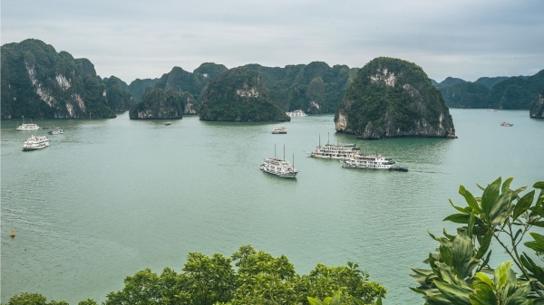 Vịnh Hạ Long bắt đầu đón du khách trở lại