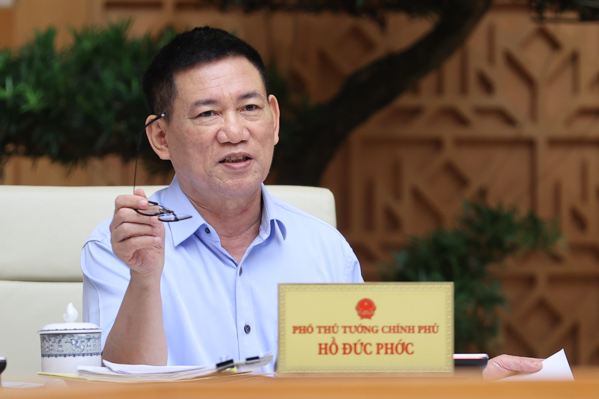 Phó Thủ tướng Hồ Đức Phớc phát biểu ý kiến - Ảnh: VGP
