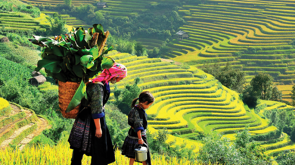 Doanh nghiệp thực hành ESG để phát triển du lịch bền vững