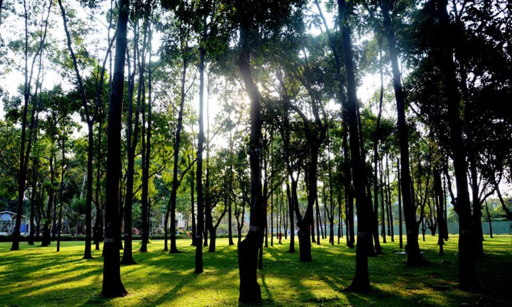 Công viên Gia Định (Q. Gò Vấp),