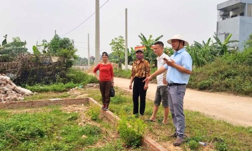 Ngành thuế cấp tốc giảm 50% thuế đất phi nông nghiệp và thuế khác do thiệt hại từ bão số 3