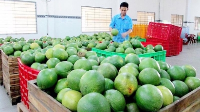 8M agro-forestry-fishery exports to the US hit $8.58 bln 