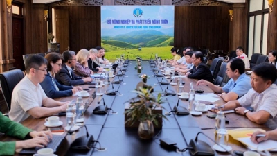 WB underscores commitment to sustainable agriculture in Vietnam