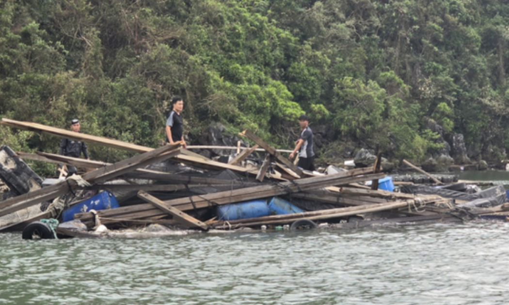 Phần lớn lồng bè nuôi trồng thuỷ sản ở Quảng Ninh gần như mất trắng do ảnh hưởng của bão số 3.