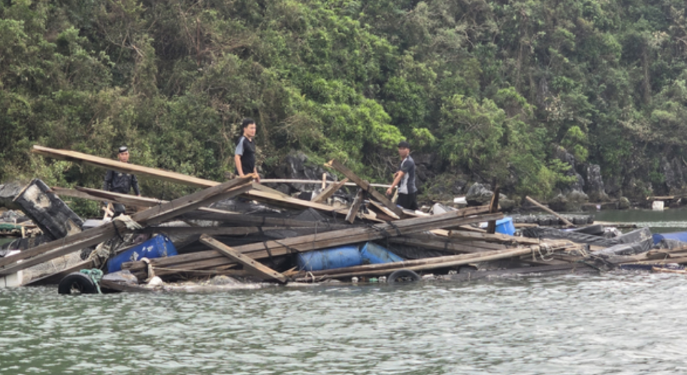 Phần lớn lồng bè nuôi trồng thuỷ sản ở Quảng Ninh gần như mất trắng do ảnh hưởng của bão số 3.