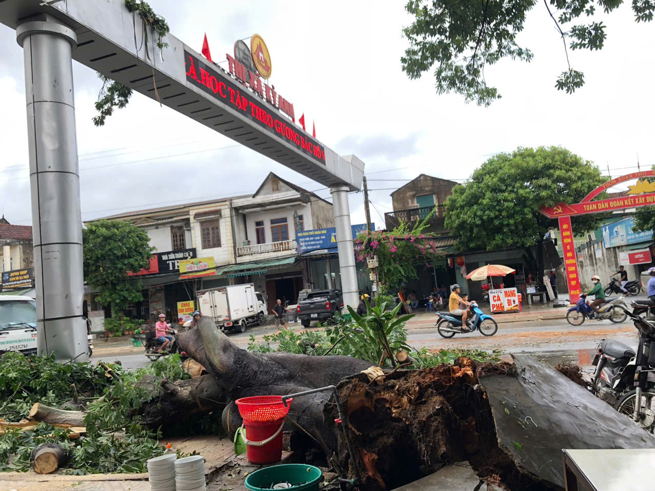 C&acirc;y cối bị đổ g&atilde;y ở thị x&atilde; Kỳ Anh. Ảnh: T.L