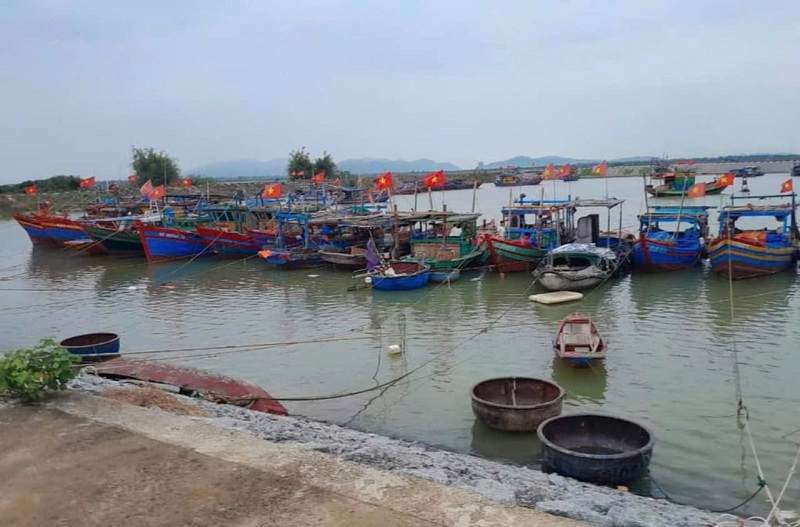  Nhiều tàu thuyền vào neo đậu tại Khu neo đậu tránh trú bão Cửa Sót, huyện Lộc Hà. Ảnh Văn Chương