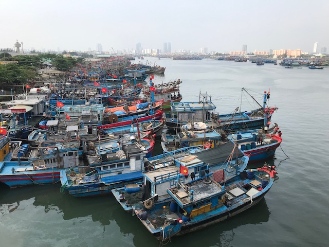 Tàu cá vào neo đạu tránh bão tại Âu thuyền Thọ Quang. Ảnh Ngô Anh Văn