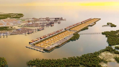 Can Gio Port construction must not "sacrifice" environment