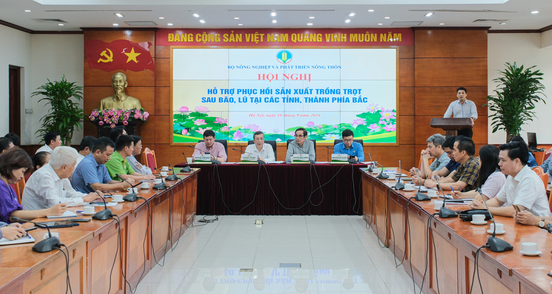 Quanh cảnh hội nghị, ngày 18/9/2024,