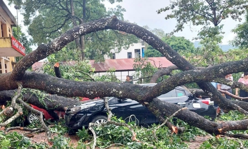 Lốc xoáy quật gãy cành cây cổ thụ, rơi trúng 4 xe ô tô và một giáo viên tại Trung tâm giáo dục nghề nghiệp - Giáo dục thường xuyên huyện Hà Trung (Thanh Hóa). 
