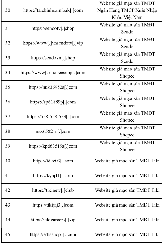 Trong số 55 trang web giả mạo thương hiệu doanh nghiệp, có đến gần một nửa là thuộc lĩnh vực thương mại điện tử.