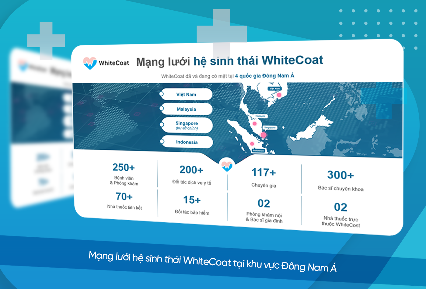 WhiteCoat và mạng lưới y tế tại Việt Nam và Đông Nam Á.