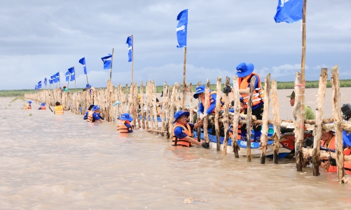 Doanh nghiệp nỗ lực phát triển bể hấp thụ Carbon, hướng đến mục tiêu Net Zero 2050