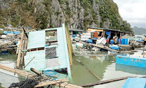 Chung sức vượt khó khăn vực dậy nông nghiệp sau bão