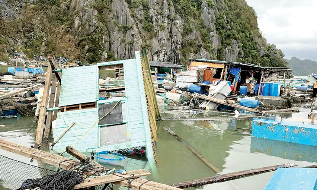 Tan hoang những lồng bè nuôi hải sản trên biển Quảng Ninh