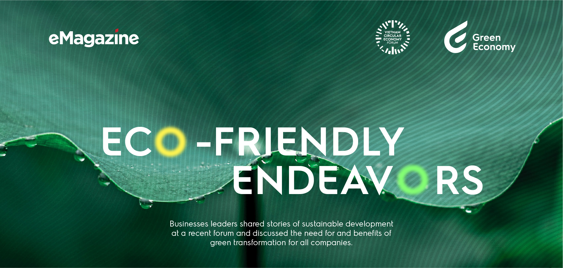 Eco-friendly endeavors - Ảnh 1