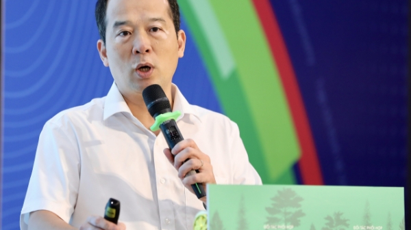 Nhiều địa phương vẫn đang hiểu có bao nhiêu rừng là có thể bán được bấy nhiêu tín chỉ carbon