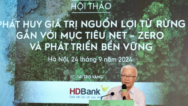 Khai thác nguồn lợi từ rừng hướng tới phát triển kinh tế và môi trường bền vững