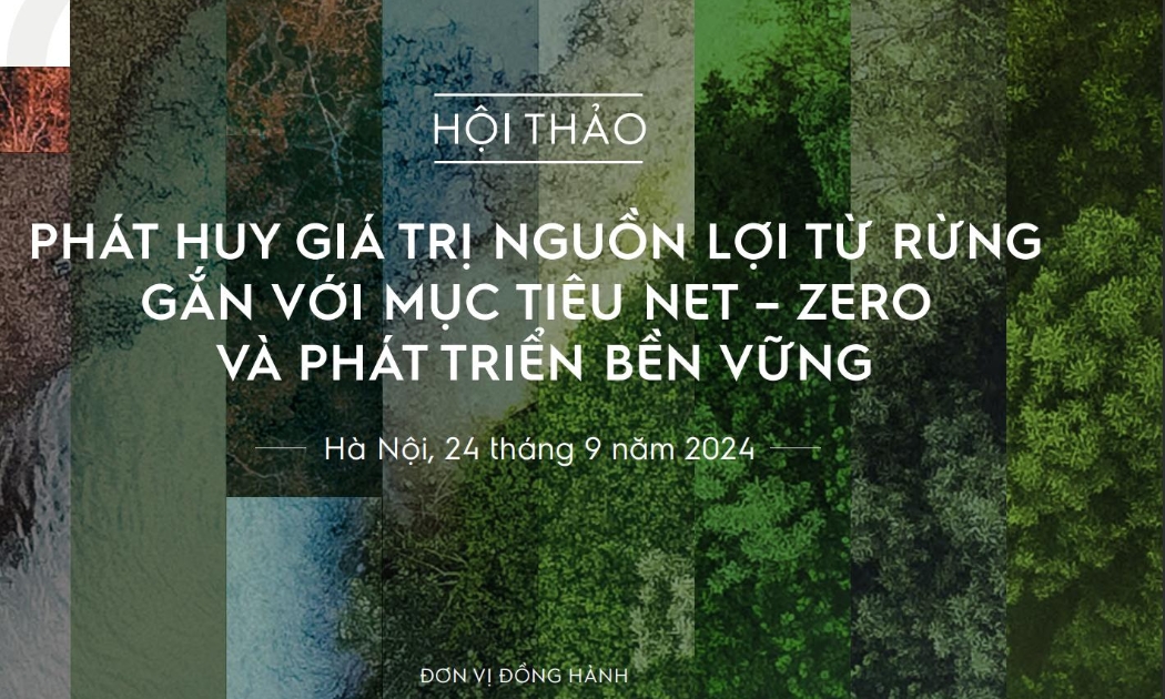 Tội thảo “Phát huy giá trị nguồn lợi từ rừng gắn với mục tiêu Net-Zero và phát triển bền vững”. 