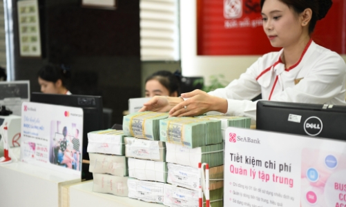 Ngân hàng tiên phong đón đầu làn sóng kinh tế xanh lam