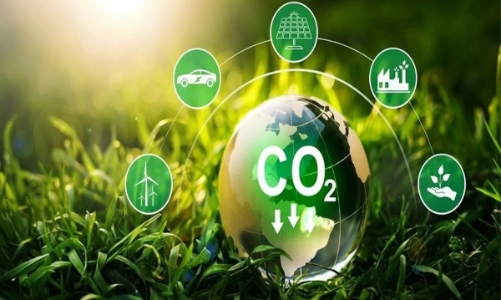 Các giải pháp cải thiện hệ thống thị trường carbon của Việt Nam