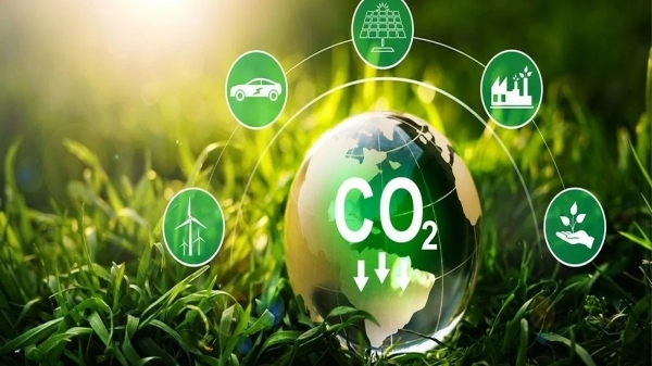 Các giải pháp cải thiện hệ thống thị trường carbon của Việt Nam