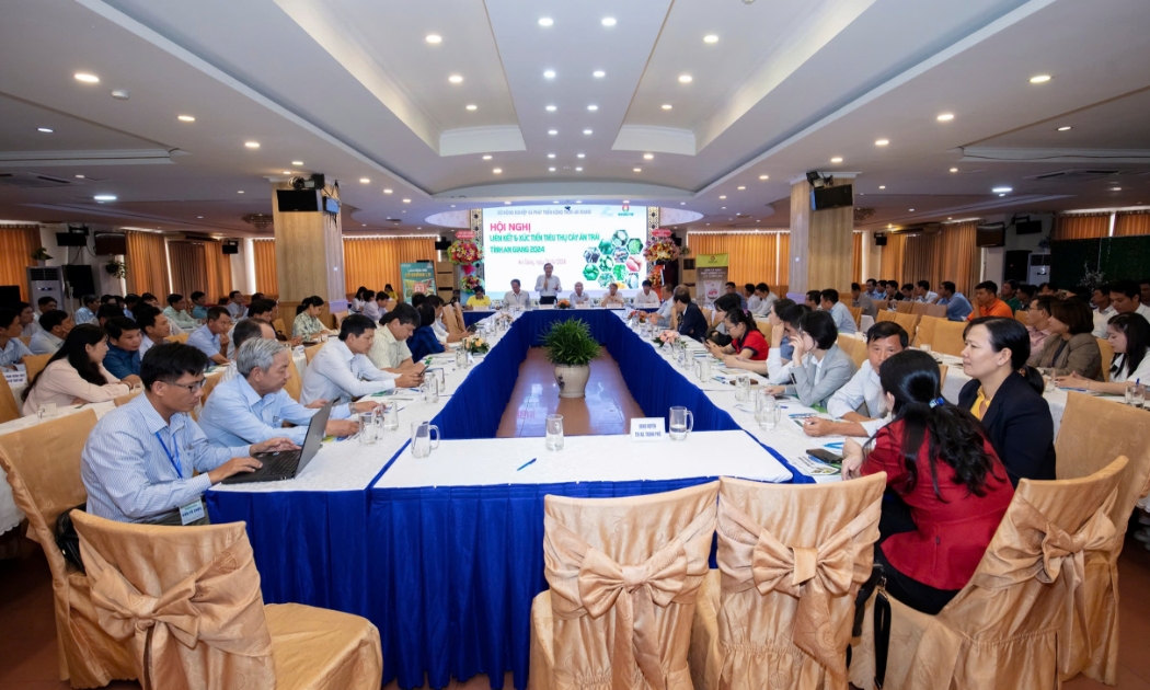 Toàn cảnh hội nghị liên kết và xúc tiến tiêu thụ cây ăn trái tỉnh An Giang năm 2024.