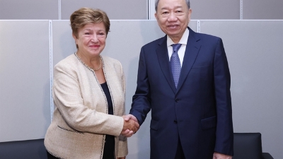Vietnam and IMF discuss economic cooperation