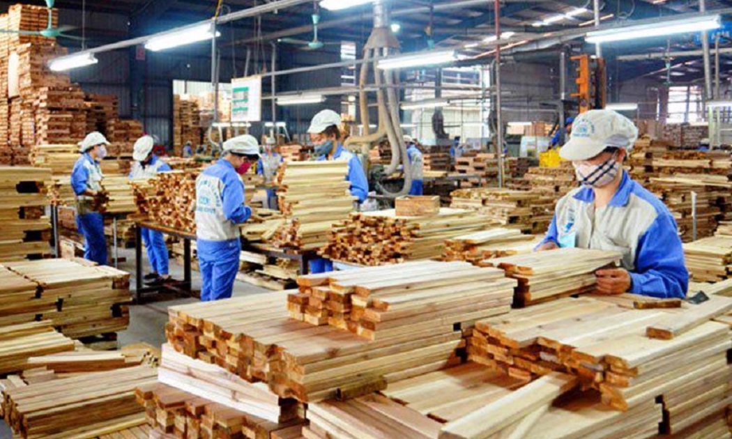 8 tháng năm 2024, trị giá xuất khẩu gỗ và sản phẩm gỗ tới thị trường Anh đạt 145,7 triệu USD, tăng 18% so với cùng kỳ năm 2023. Ảnh minh họa.