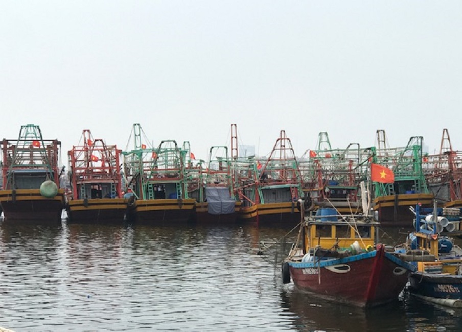 Đà Nẵng tăng cường kiểm tra, kiểm soát tàu cá ra vào cảng cá Thọ Quang. Ảnh: Ngô Anh Văn.