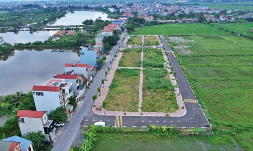 Lập danh sách các trường hợp trúng đấu giá đất cao nhưng bỏ cọc 