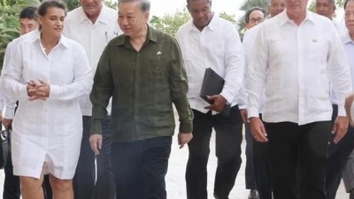 Party and State top leader visits Cuba's first free trade zone