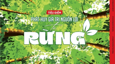 Tạp chí Kinh tế Việt Nam số 40-2024